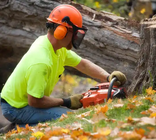 tree services Libertytown